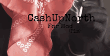 Cashupnorth For Mod GIF - Cashupnorth For Mod GIFs
