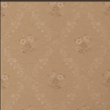 a brown background with white flowers on it