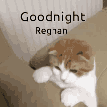 Reghan GIF - Reghan GIFs