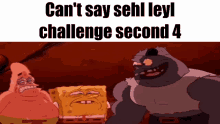 sehl leyl cant say challenge4second