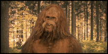 Sasquatch Hairy Men GIF - Sasquatch Hairy Men Canadian Mythology GIFs