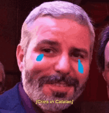 criesincatalan cries in catalan rrsa