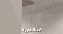 Weird Avy Boss GIF - Weird Avy Boss I Volunteer GIFs