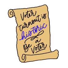 voter turnout is historic be a voter i voted i voted today election2020