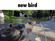 Bird Spamton GIF - Bird Spamton Deltarune GIFs