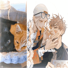 a picture of a cat and a picture of a man with the name simonelio