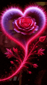 a heart with a red rose in the middle