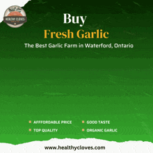 Fresh Garlic Garlic GIF - Fresh Garlic Garlic Ontario GIFs