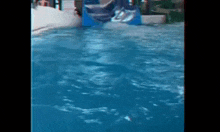 a dolphin is sliding down a water slide in a pool .