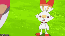 Scorbunny Pokemon GIF - Scorbunny Pokemon Blushing GIFs