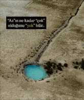 an aerial view of a herd of sheep walking around a pool of water