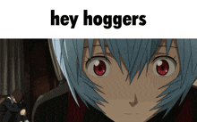 Heyhoggers Hog Hog GIF