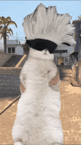 a white cat wearing sunglasses stands in front of a building that says b