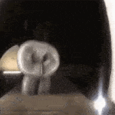 a close up of a tooth in a dark room with a light shining through it .