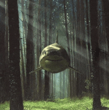 a painting of a shark in a forest