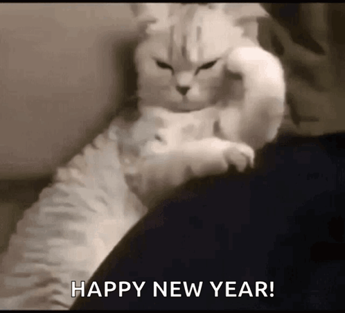 Hamzeh Sad Cat Dance GIF