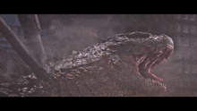 a close up of a dinosaur 's mouth with its mouth open
