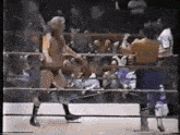 Jerry Lawler GIF - Jerry Lawler GIFs