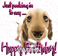 Happybirthday Dog GIF - Happybirthday Dog Tailwagging GIFs