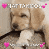 Sleeping Dog GIF - Sleeping Dog Goldenretreiver GIFs