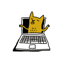 kstr kochstrasse cat notebook laptop