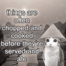 a cat wearing a conical hat with the words things are often chopped and cooked before they 're served