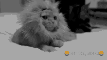 Tired Sleepy GIF - Tired Sleepy Lion GIFs