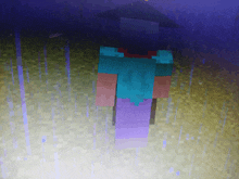 a minecraft character is standing in a field with trees in the background