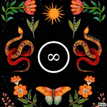 a picture of a snake and a butterfly with an infinity symbol