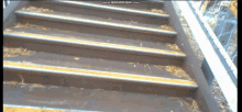 Claremont Perth Train Station Stairs Omgomgomgomg GIF - Claremont Perth Train Station Stairs Omgomgomgomg GIFs