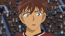 a boy with brown hair and blue eyes looks at the camera with a crowd in the background