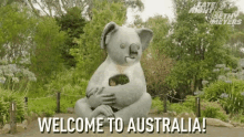 welcome to australia koala amber ruffin australia lnsm