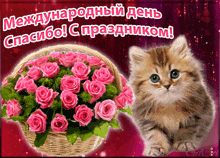 котенок корзина цветов -- GIF - котенок корзина цветов -- роз GIFs