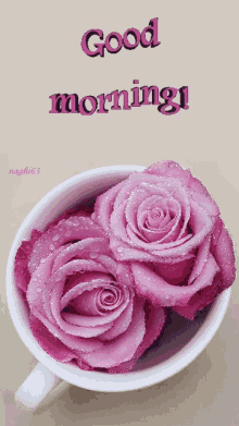 Good Morning Pink Roses GIF