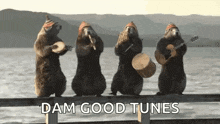 a group of squirrels are playing musical instruments on a dock .