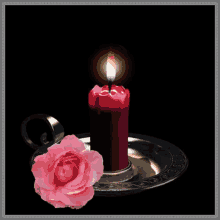 fire rose candle light