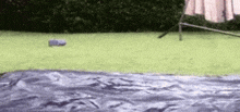 a bottle of water is sitting on the grass next to a blanket .