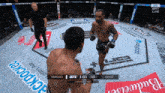 two men are fighting in a boxing ring with budweiser advertisements