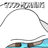 a cartoon drawing of a raccoon laying under a blanket with the words good morning above it