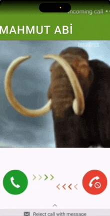 a phone screen with a picture of a mammoth and the words mahmut abi at the top