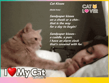 I Love My Cat Cat Meme GIF - I Love My Cat Cat Meme GIFs