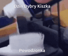 Dziń Dybry Kiszka GIF