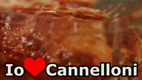 cannelloni-pasta