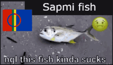 Sapmi Fish GIF - Sapmi Fish GIFs