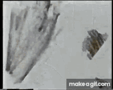 Mothlight Brakhage GIF - Mothlight Brakhage GIFs