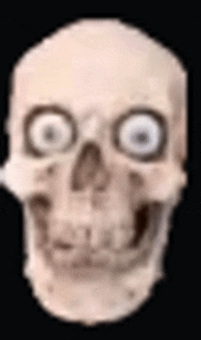 Skull Memes GIF