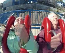 Amusement Park Ride This Is Happening GIF - Amusement Park Ride This Is Happening Scared GIFs