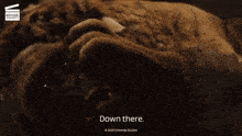 a dingo society logo is on the bottom of a screen