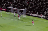 a kellogg 's ad can be seen on the side of the soccer field