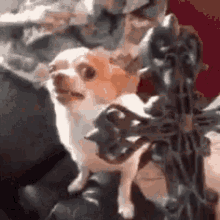 May The Power Of Christ Compel You GIFs | Tenor